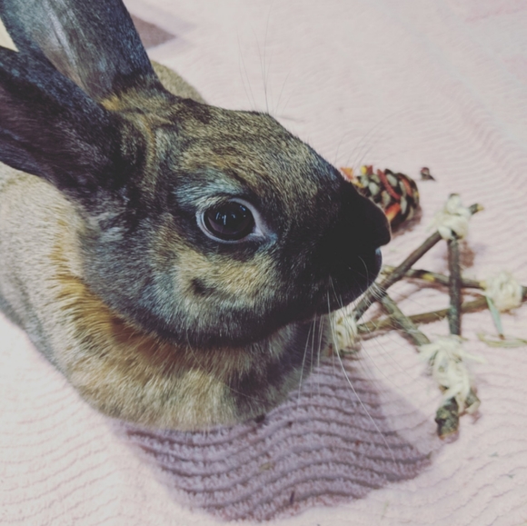 Meet Your Posher - Picture 3 of 3